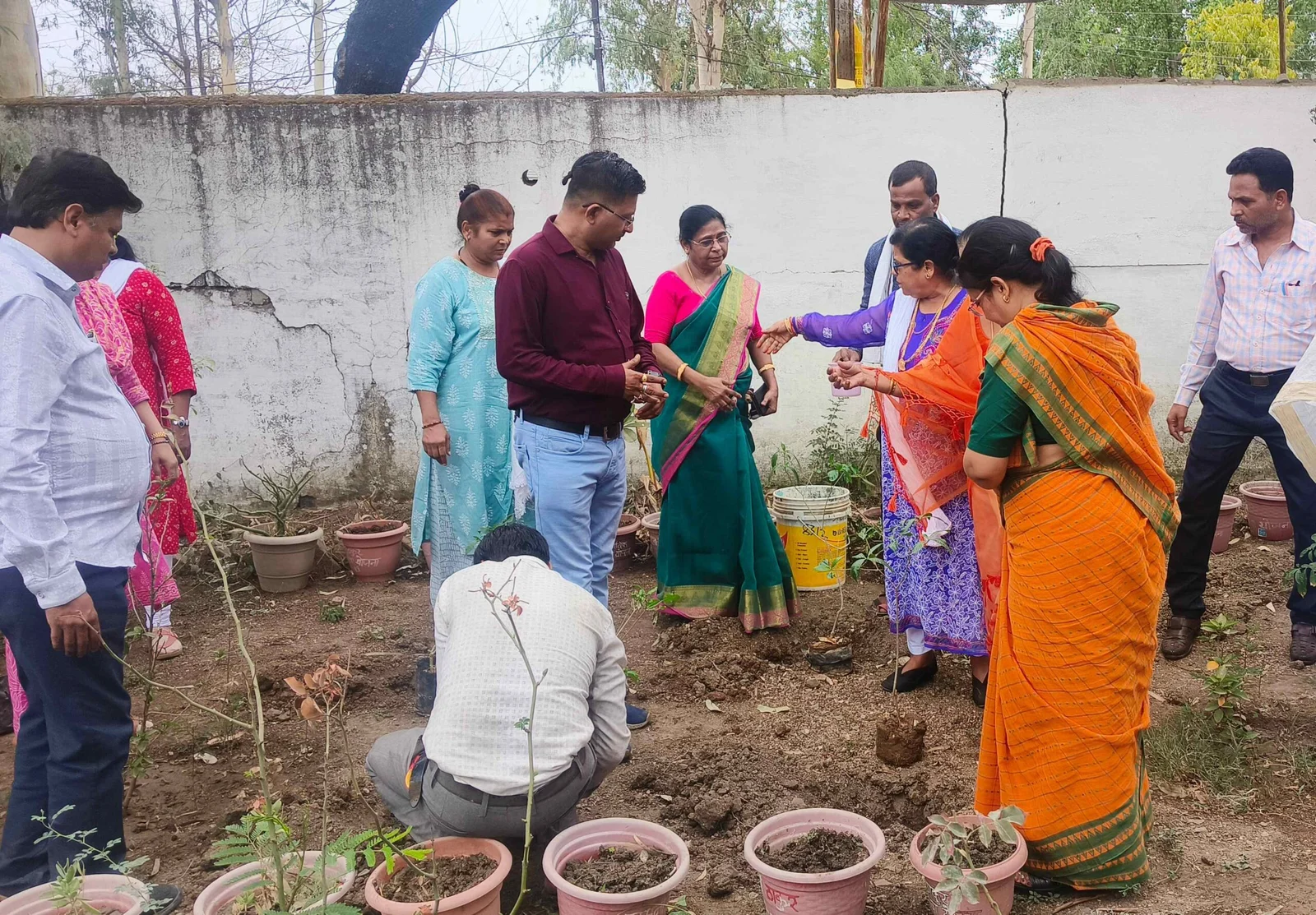 Harit Sagar Tree Campaign project activity